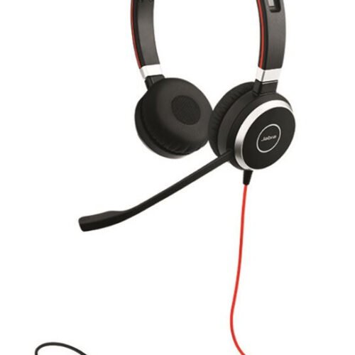 Jabra Evolve 40 Headset Duo 3