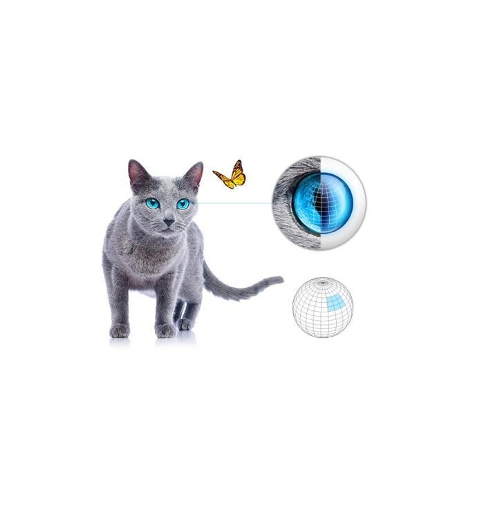 FIBARO - Bewegungsmelder Gen. 5 (Multisensor, 4 in 1) - Image 2